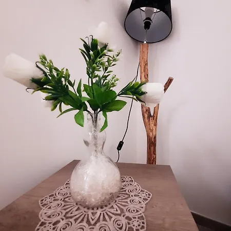 B&B Solimo-2